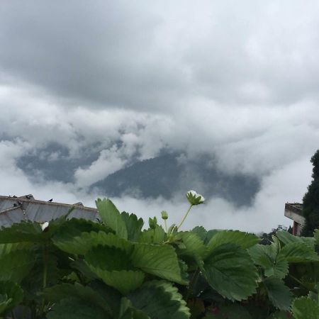 Benus Apartment Darjeeling  Luaran gambar