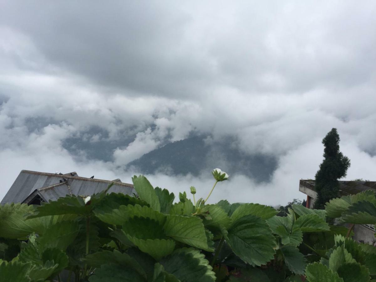 Benus Apartment Darjeeling  Luaran gambar